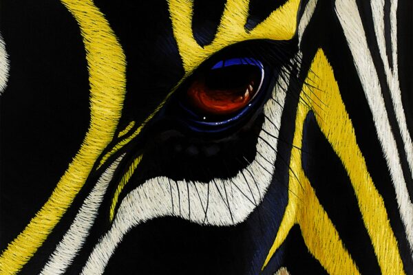 Blog | Member Spotlight | Yellow Zebra Safaris | May 2022