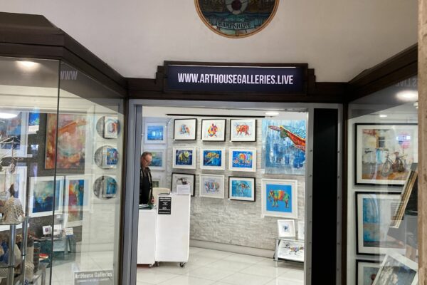 Blog | Member Spotlight | ArtHouse Galleries